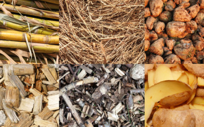Biomasse und Biogas