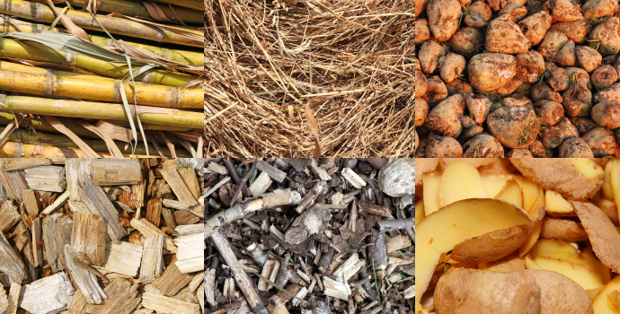 Biomasse und Biogas