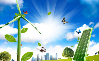 Gli strumenti della Green Economy Step 5