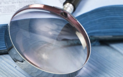 La figura degli Auditor e degli Organismi di Vigilanza